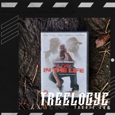 DVD cover of "A Day in the Life" featuring two figures in a dramatic pose.